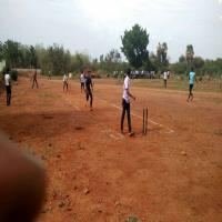cricket